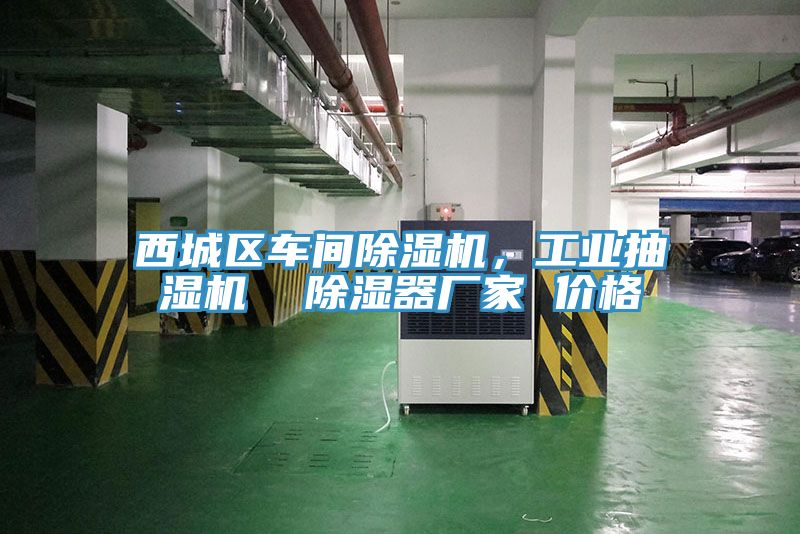 西城區(qū)車間除濕機，工業(yè)抽濕機  除濕器廠家 價格