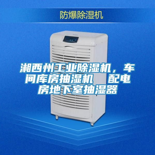 湘西州工業(yè)除濕機(jī)，車間庫房抽濕機(jī)  配電房地下室抽濕器