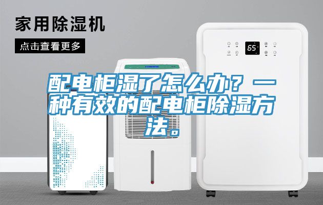配電柜濕了怎么辦？一種有效的配電柜除濕方法。