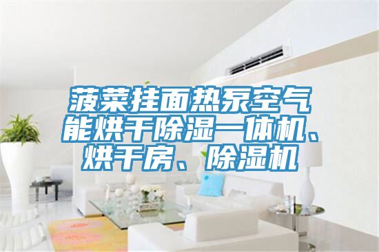 菠菜掛面熱泵空氣能烘干除濕一體機、烘干房、除濕機