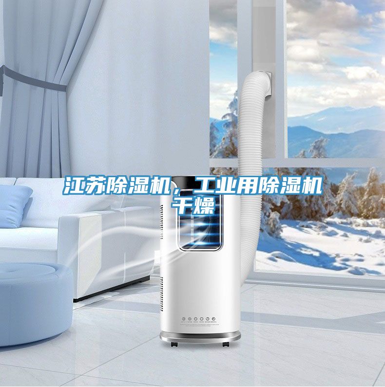 江蘇除濕機，工業(yè)用除濕機干燥