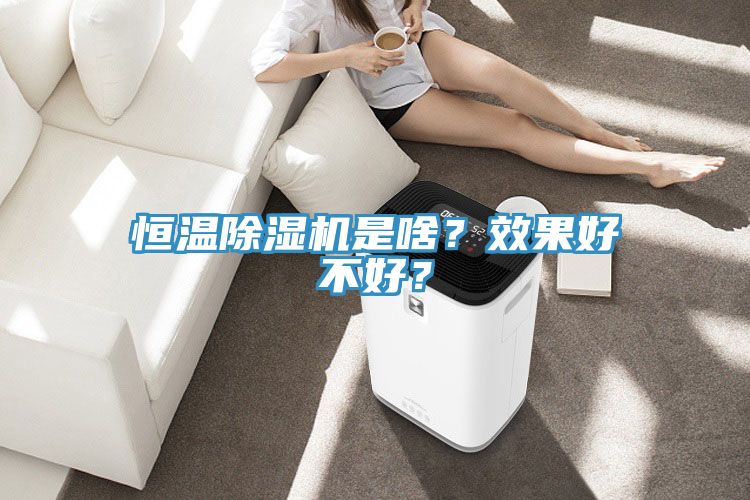 恒溫除濕機是啥？效果好不好？