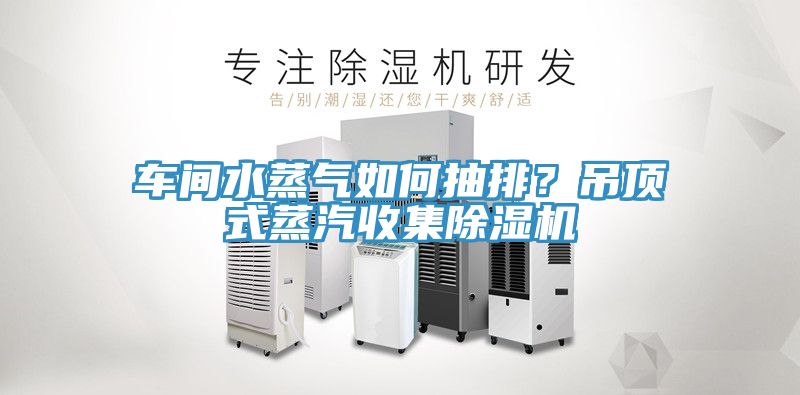 車間水蒸氣如何抽排？吊頂式蒸汽收集除濕機(jī)
