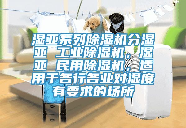 濕亞系列除濕機(jī)分濕亞 工業(yè)除濕機(jī)，濕亞 民用除濕機(jī)，適用于各行各業(yè)對(duì)濕度有要求的場(chǎng)所