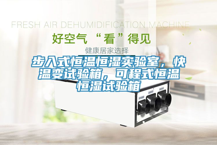 步入式恒溫恒濕實(shí)驗(yàn)室，快溫變?cè)囼?yàn)箱，可程式恒溫恒濕試驗(yàn)箱