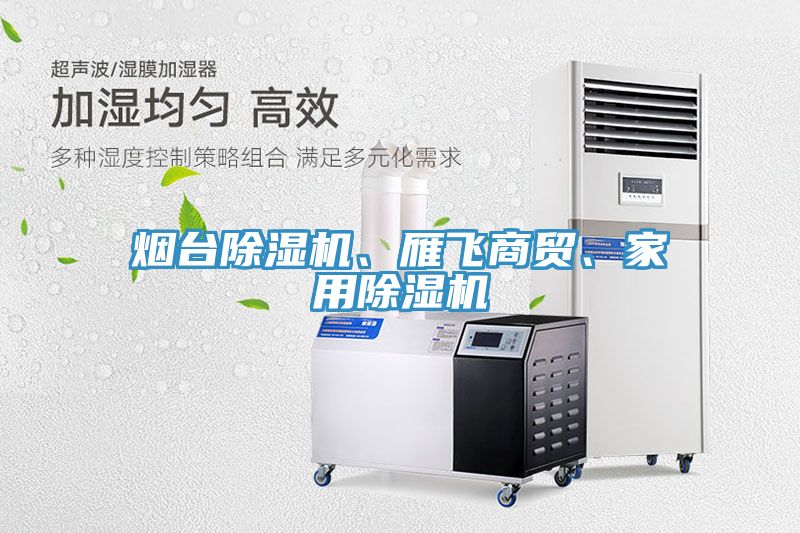 煙臺(tái)除濕機(jī)、雁飛商貿(mào)、家用除濕機(jī)