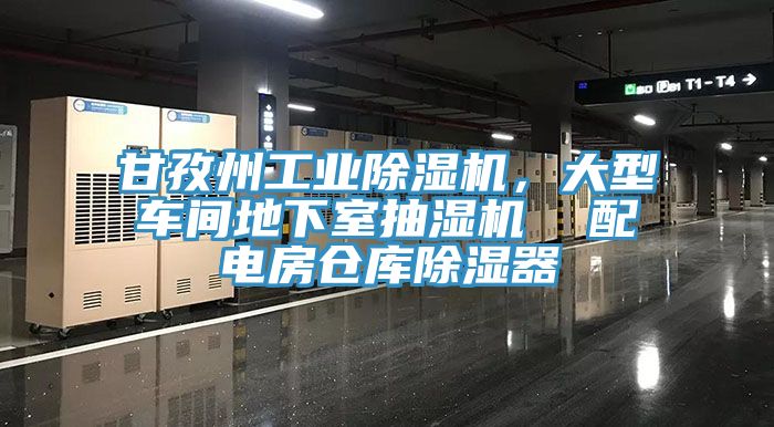 甘孜州工業(yè)除濕機(jī)，大型車間地下室抽濕機(jī)  配電房倉(cāng)庫除濕器