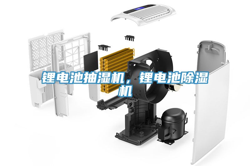 鋰電池抽濕機(jī)，鋰電池除濕機(jī)