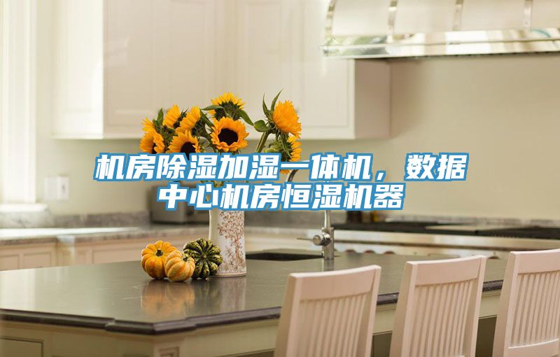機(jī)房除濕加濕一體機(jī)，數(shù)據(jù)中心機(jī)房恒濕機(jī)器