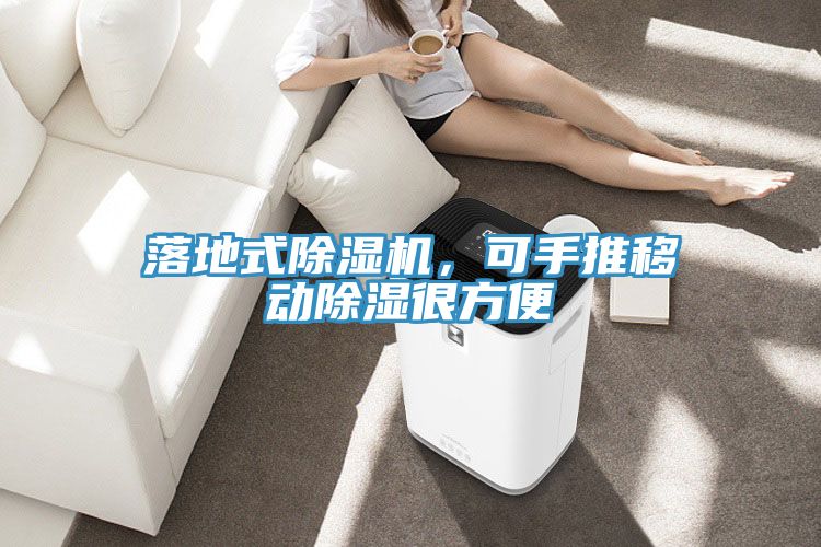 落地式除濕機(jī)，可手推移動除濕很方便