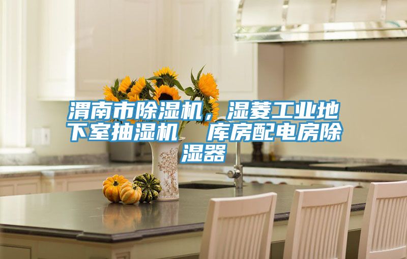 渭南市除濕機(jī)，濕菱工業(yè)地下室抽濕機(jī)  庫房配電房除濕器