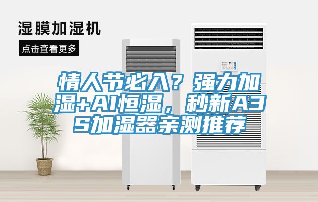 情人節(jié)必入？強(qiáng)力加濕+AI恒濕，秒新A3S加濕器親測(cè)推薦