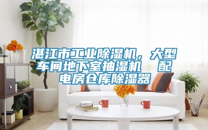 湛江市工業(yè)除濕機(jī)，大型車間地下室抽濕機(jī)  配電房倉庫除濕器