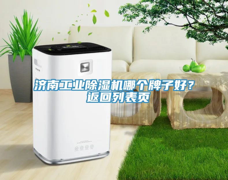 濟(jì)南工業(yè)除濕機(jī)哪個(gè)牌子好？ 返回列表頁