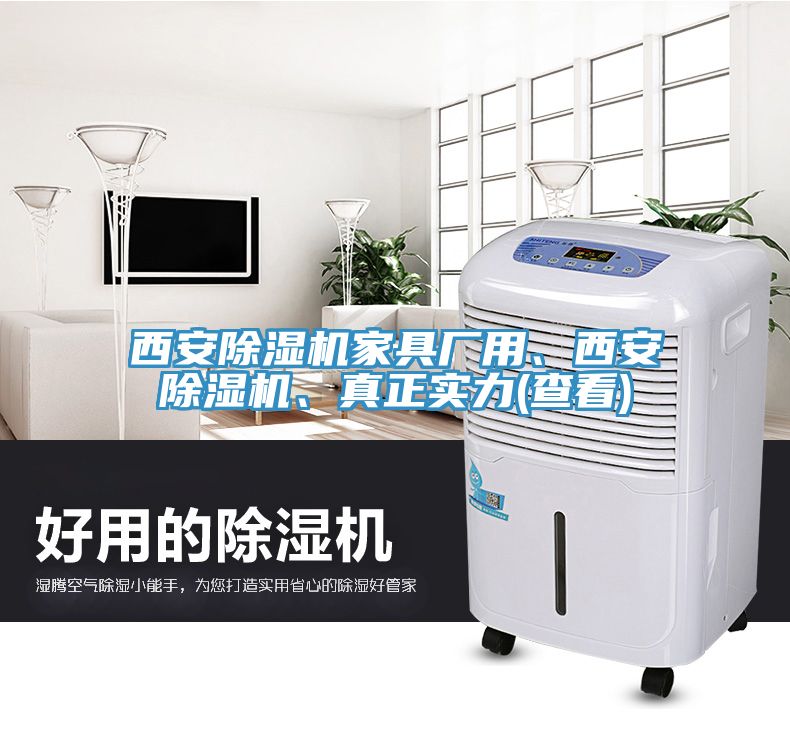 西安除濕機家具廠用、西安除濕機、真正實力(查看)
