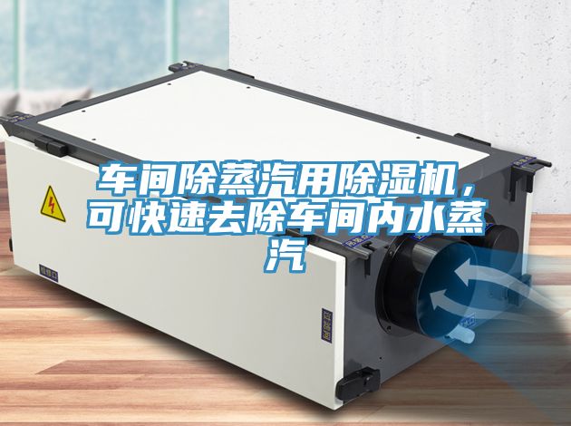 車間除蒸汽用除濕機(jī)，可快速去除車間內(nèi)水蒸汽