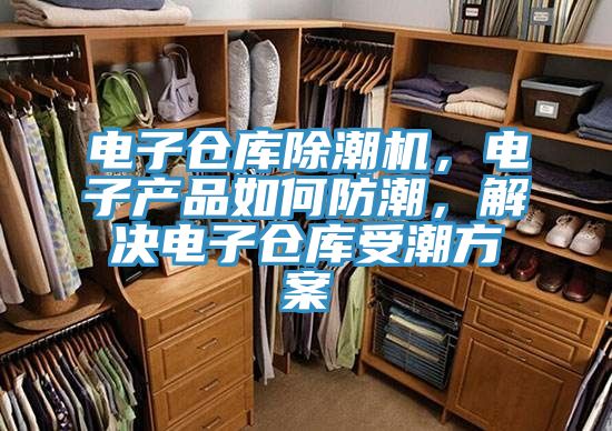 電子倉(cāng)庫(kù)除潮機(jī)，電子產(chǎn)品如何防潮，解決電子倉(cāng)庫(kù)受潮方案