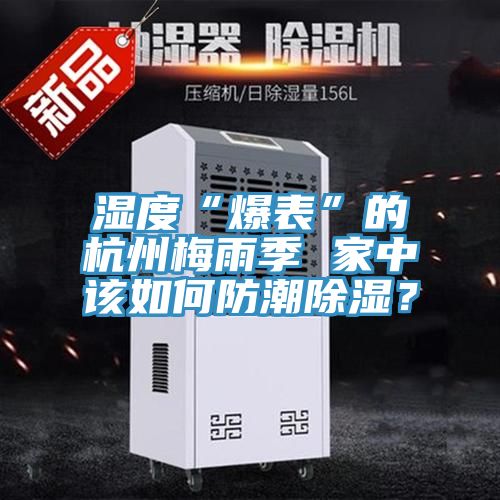 濕度“爆表”的杭州梅雨季 家中該如何防潮除濕？