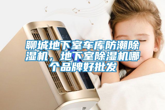聊城地下室車庫防潮除濕機(jī)，地下室除濕機(jī)哪個(gè)品牌好批發(fā)