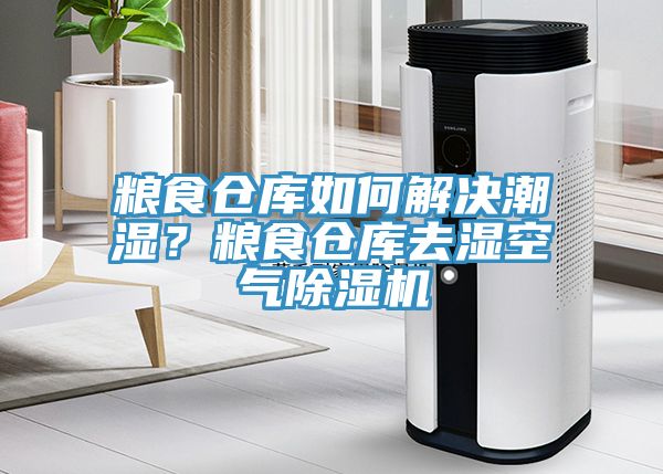 糧食倉庫如何解決潮濕？糧食倉庫去濕空氣除濕機