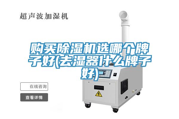 購(gòu)買(mǎi)除濕機(jī)選哪個(gè)牌子好(去濕器什么牌子好)