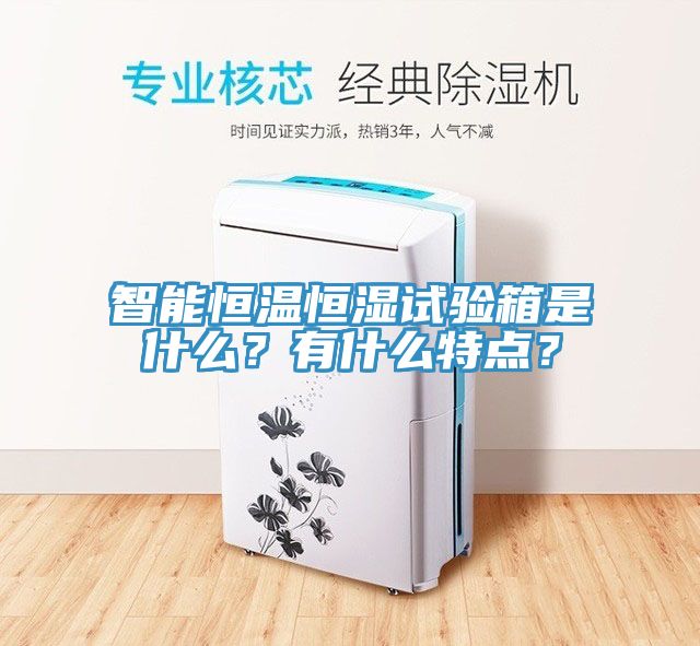 智能恒溫恒濕試驗(yàn)箱是什么？有什么特點(diǎn)？