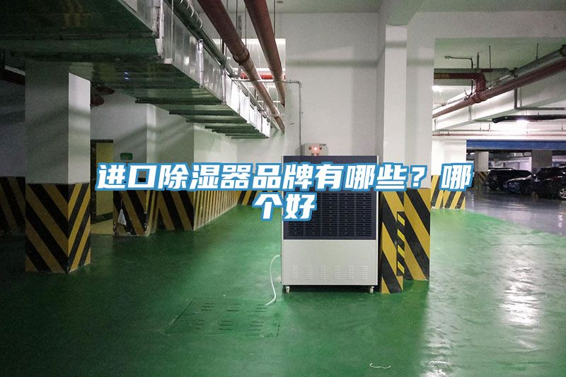 進口除濕器品牌有哪些？哪個好
