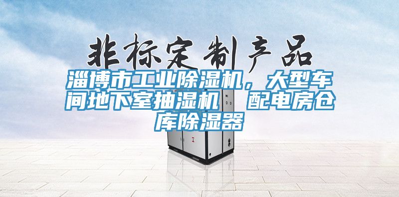 淄博市工業(yè)除濕機(jī)，大型車間地下室抽濕機(jī)  配電房倉庫除濕器