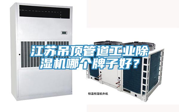 江蘇吊頂管道工業(yè)除濕機哪個牌子好？