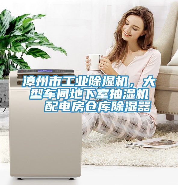 漳州市工業(yè)除濕機，大型車間地下室抽濕機  配電房倉庫除濕器