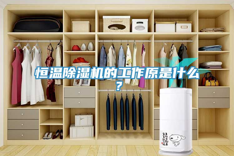 恒溫除濕機的工作原是什么？