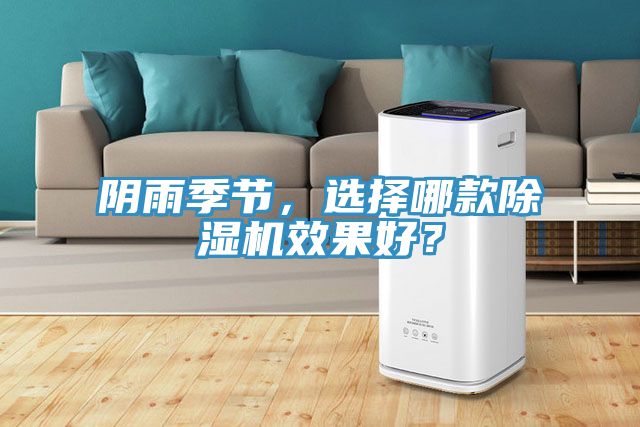 陰雨季節(jié)，選擇哪款除濕機(jī)效果好？