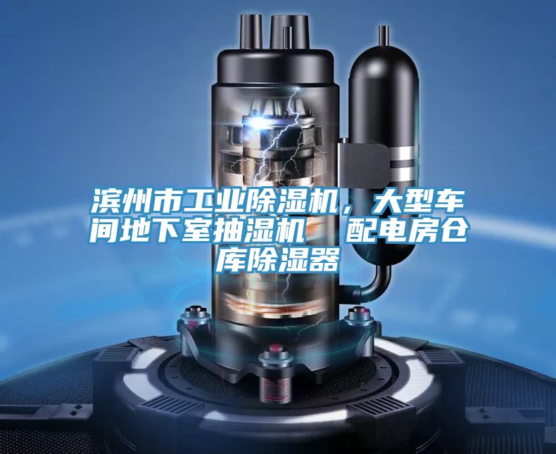 濱州市工業(yè)除濕機，大型車間地下室抽濕機  配電房倉庫除濕器