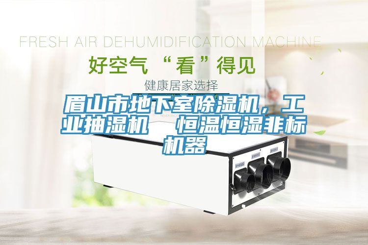 眉山市地下室除濕機(jī)，工業(yè)抽濕機(jī)  恒溫恒濕非標(biāo)機(jī)器