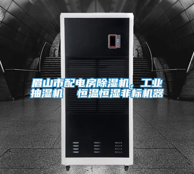 眉山市配電房除濕機(jī)，工業(yè)抽濕機(jī)  恒溫恒濕非標(biāo)機(jī)器