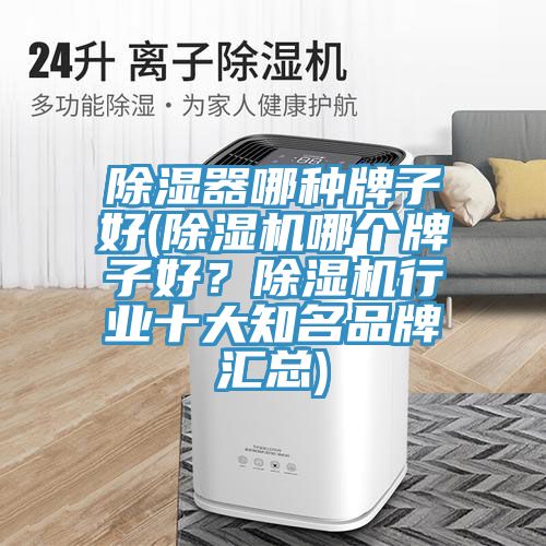 除濕器哪種牌子好(除濕機(jī)哪個(gè)牌子好？除濕機(jī)行業(yè)十大知名品牌匯總)