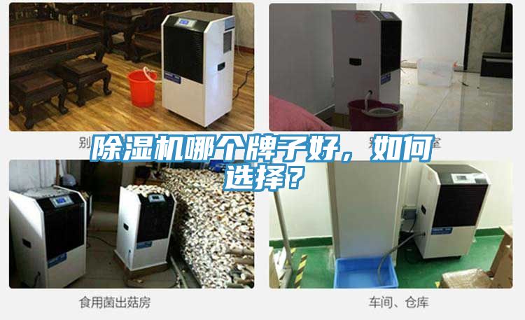 除濕機哪個牌子好，如何選擇？