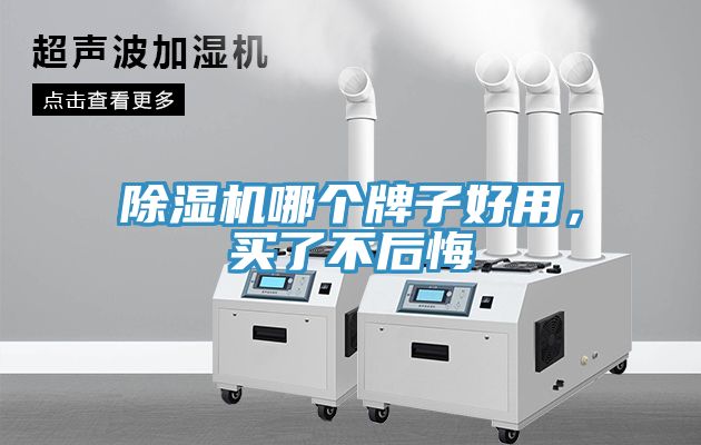 除濕機(jī)哪個(gè)牌子好用，買(mǎi)了不后悔