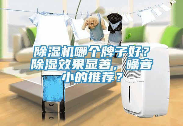 除濕機(jī)哪個(gè)牌子好？除濕效果顯著，噪音小的推薦？