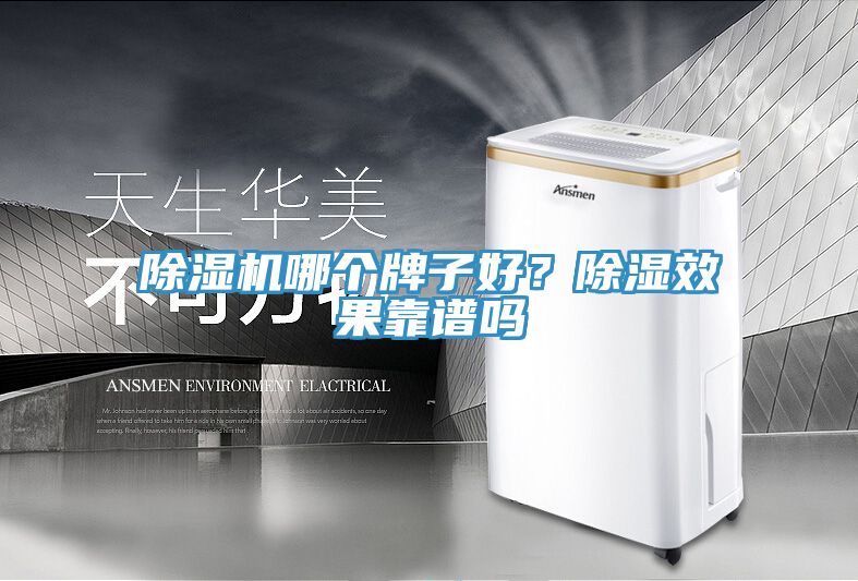 除濕機(jī)哪個(gè)牌子好？除濕效果靠譜嗎