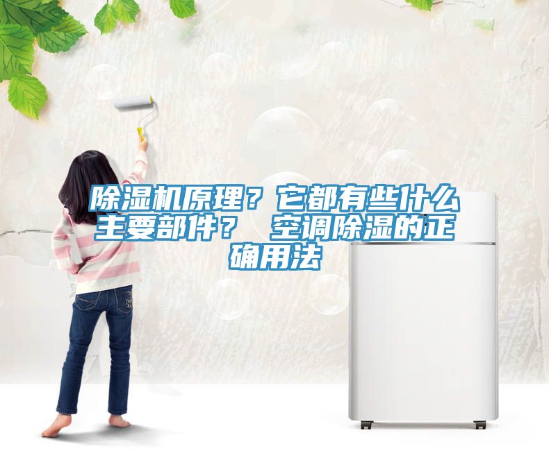 除濕機原理？它都有些什么主要部件？ 空調(diào)除濕的正確用法