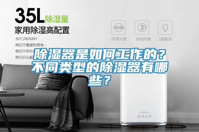 除濕器是如何工作的？不同類型的除濕器有哪些？