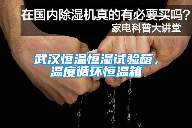 武漢恒溫恒濕試驗(yàn)箱，溫度循環(huán)恒溫箱