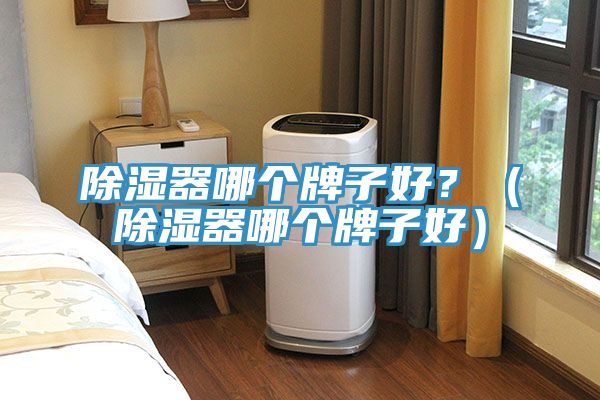 除濕器哪個牌子好？（除濕器哪個牌子好）
