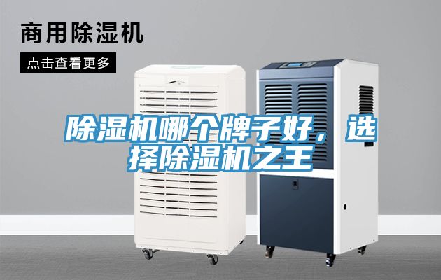 除濕機哪個牌子好，選擇除濕機之王