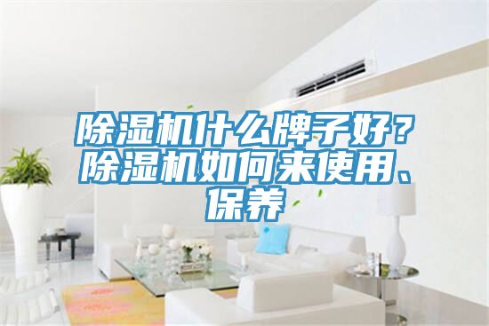 除濕機(jī)什么牌子好？除濕機(jī)如何來(lái)使用、保養(yǎng)
