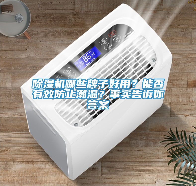 除濕機(jī)哪些牌子好用？能否有效防止潮濕？事實(shí)告訴你答案