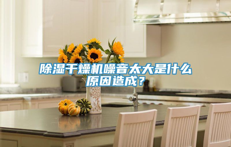 除濕干燥機(jī)噪音太大是什么原因造成？