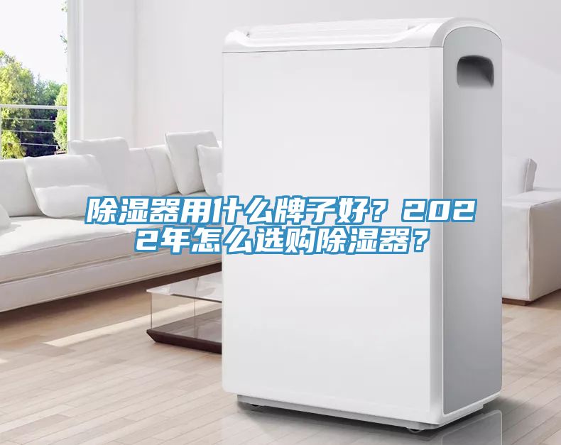 除濕器用什么牌子好？2022年怎么選購除濕器？