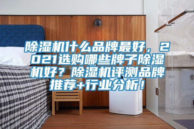 除濕機(jī)什么品牌最好，2021選購哪些牌子除濕機(jī)好？除濕機(jī)評測品牌推薦+行業(yè)分析！